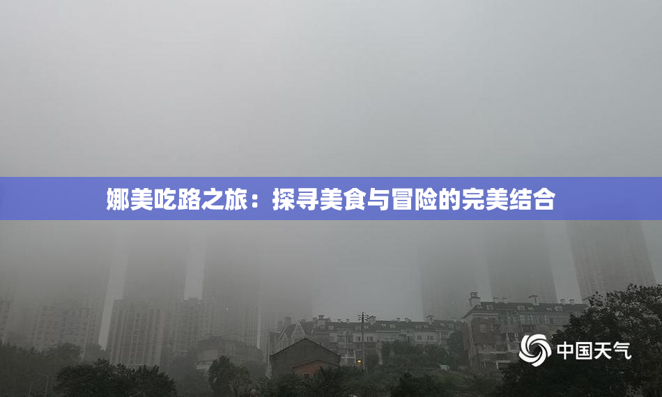 娜美吃路之旅：探寻美食与冒险的完美结合