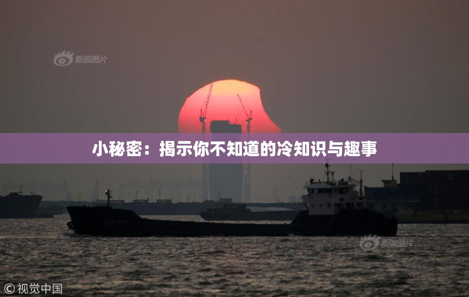 小秘密：揭示你不知道的冷知识与趣事