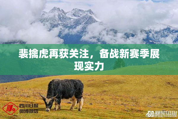 裴擒虎再获关注，备战新赛季展现实力