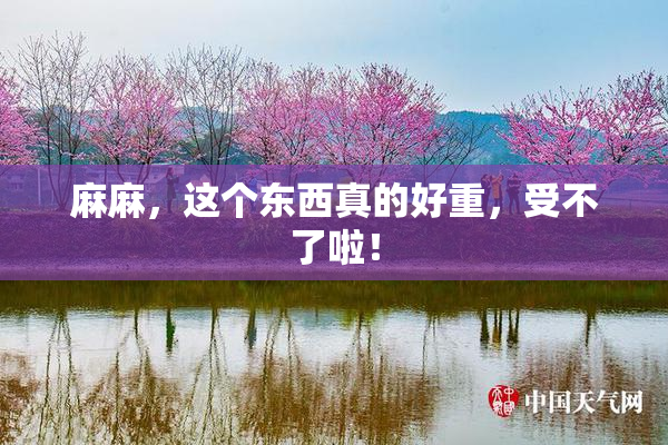 麻麻，这个东西真的好重，受不了啦！
