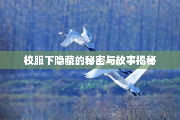 校服下隐藏的秘密与故事揭秘