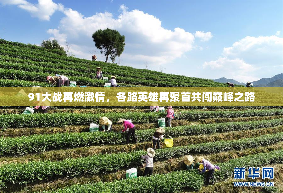 91大战再燃激情，各路英雄再聚首共闯巅峰之路