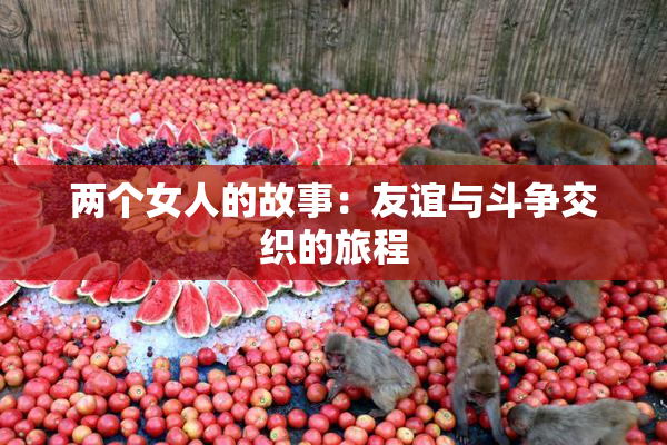 两个女人的故事：友谊与斗争交织的旅程
