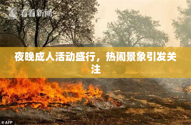 夜晚成人活动盛行，热闹景象引发关注