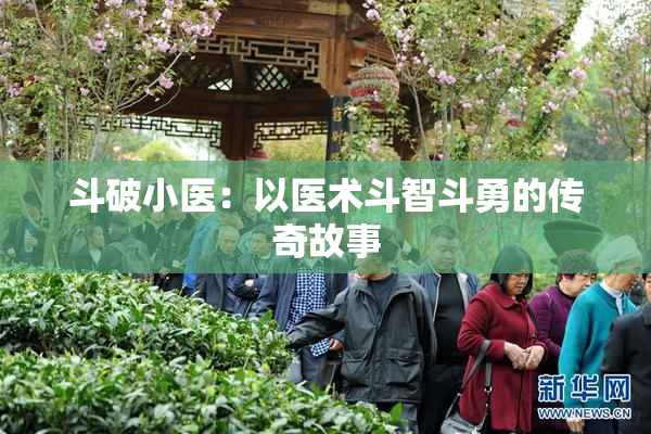 斗破小医：以医术斗智斗勇的传奇故事