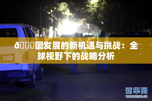 🔞国发展的新机遇与挑战：全球视野下的战略分析