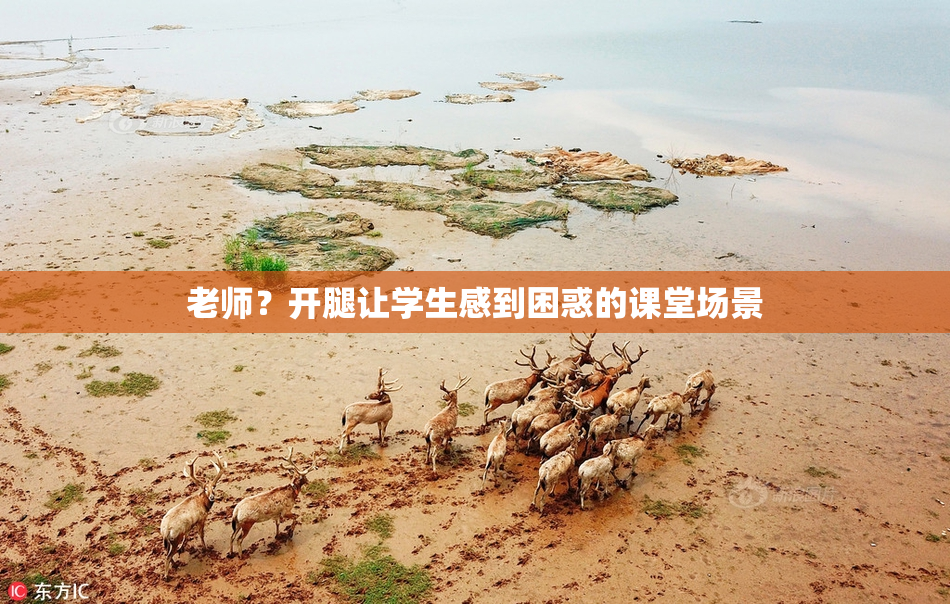 老师？开腿让学生感到困惑的课堂场景
