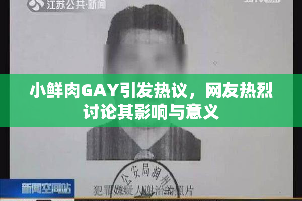小鲜肉GAY引发热议，网友热烈讨论其影响与意义