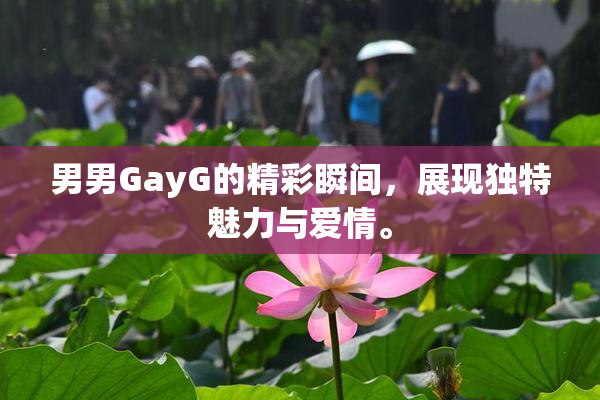 男男GayG的精彩瞬间，展现独特魅力与爱情。