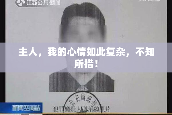 主人，我的心情如此复杂，不知所措！