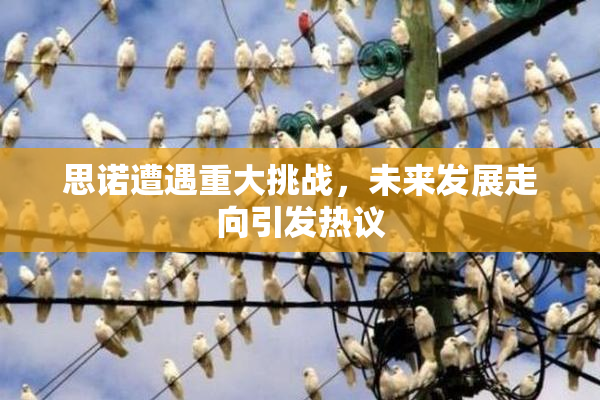 思诺遭遇重大挑战，未来发展走向引发热议