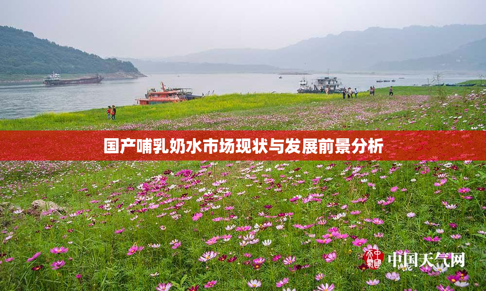 国产哺乳奶水市场现状与发展前景分析