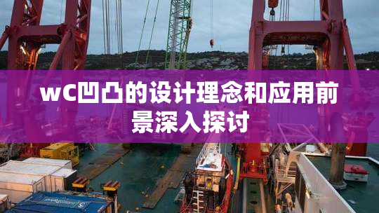 wC凹凸的设计理念和应用前景深入探讨