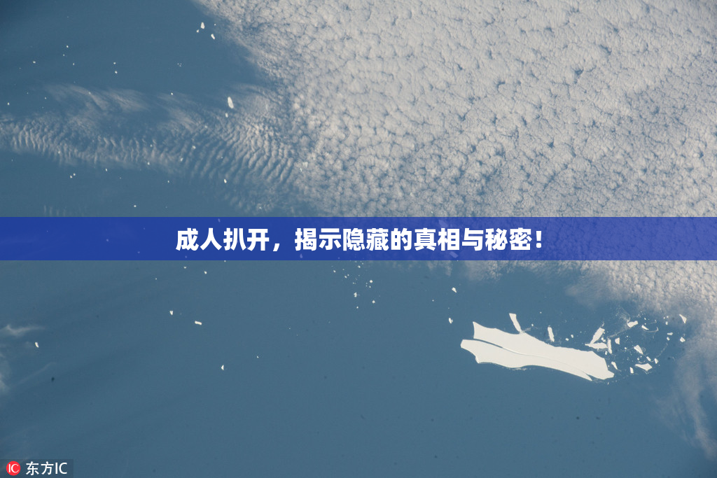 成人扒开，揭示隐藏的真相与秘密！