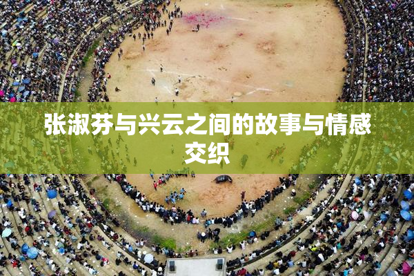 张淑芬与兴云之间的故事与情感交织