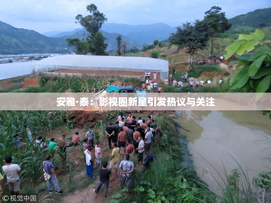 安雅·泰：影视圈新星引发热议与关注
