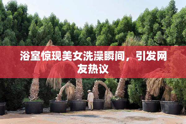 浴室惊现美女洗澡瞬间，引发网友热议