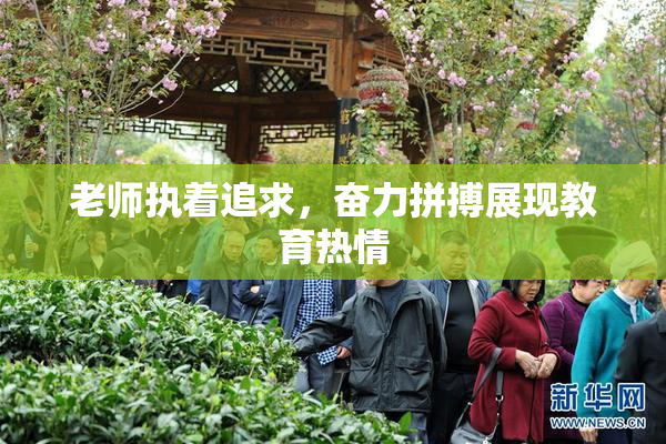 老师执着追求，奋力拼搏展现教育热情