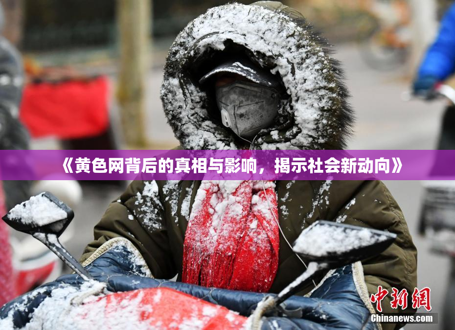 《黄色网背后的真相与影响，揭示社会新动向》
