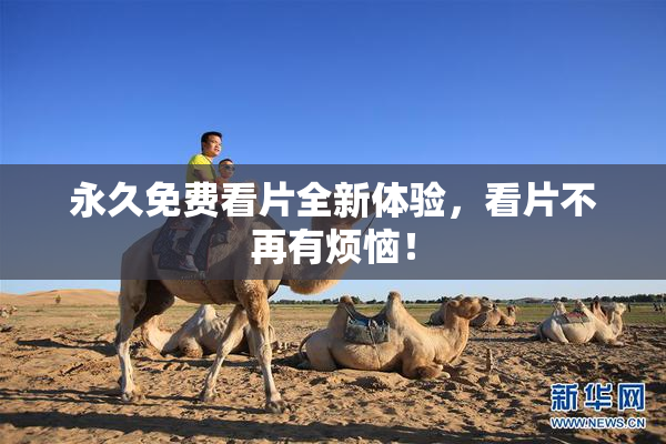 永久免费看片全新体验，看片不再有烦恼！