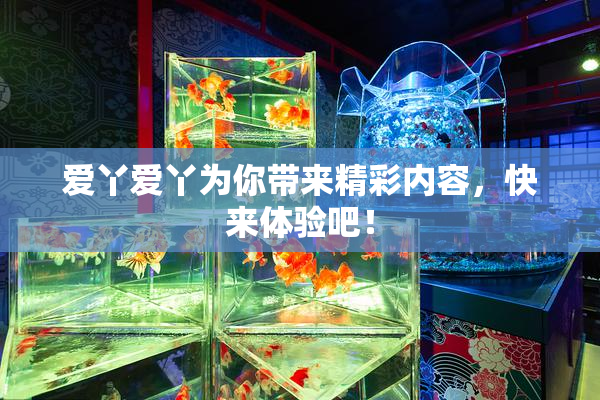 爱丫爱丫为你带来精彩内容，快来体验吧！