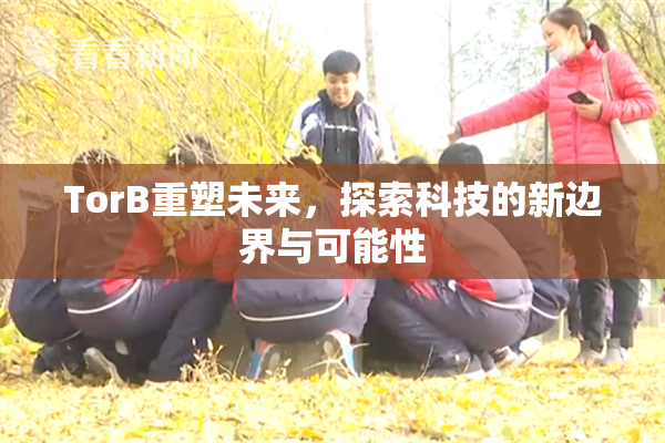 TorB重塑未来，探索科技的新边界与可能性
