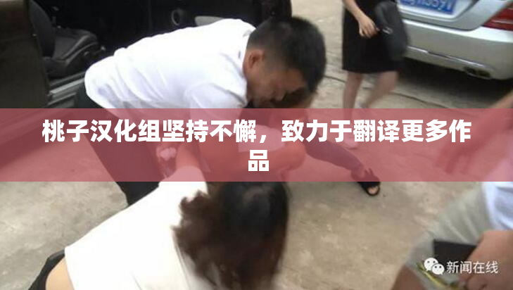 桃子汉化组坚持不懈，致力于翻译更多作品