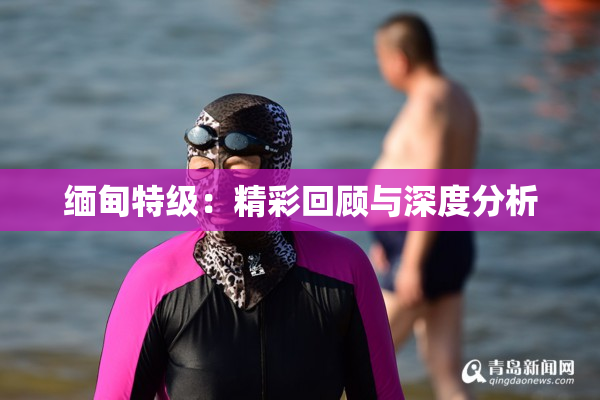 缅甸特级：精彩回顾与深度分析