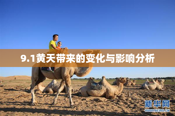 9.1黄天带来的变化与影响分析