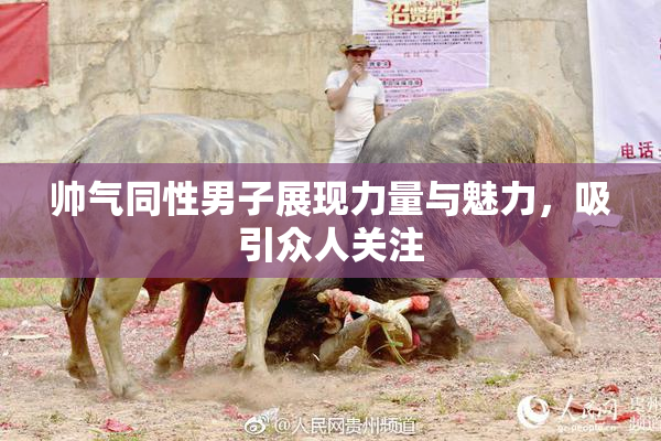 帅气同性男子展现力量与魅力，吸引众人关注