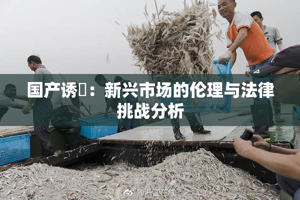 国产诱奷：新兴市场的伦理与法律挑战分析