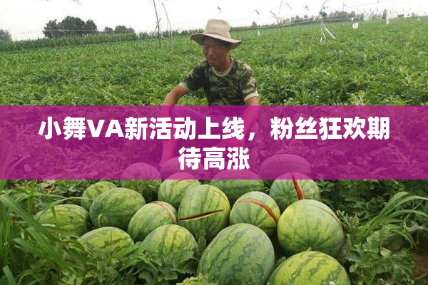 小舞VA新活动上线，粉丝狂欢期待高涨