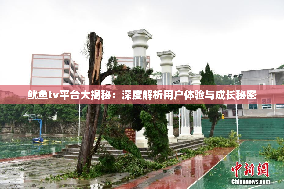 鱿鱼tv平台大揭秘：深度解析用户体验与成长秘密