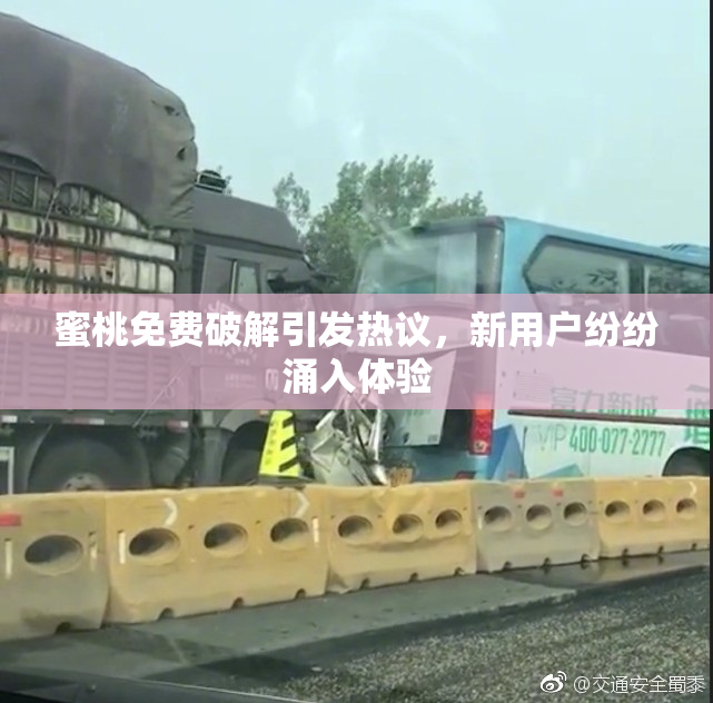 蜜桃免费破解引发热议，新用户纷纷涌入体验
