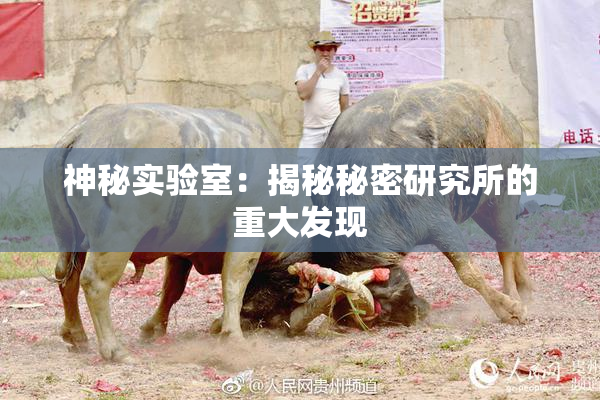 神秘实验室：揭秘秘密研究所的重大发现