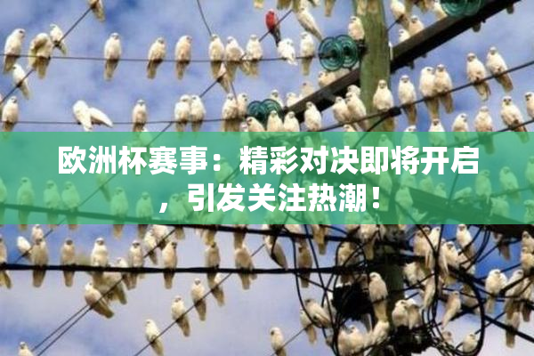 欧洲杯赛事：精彩对决即将开启，引发关注热潮！