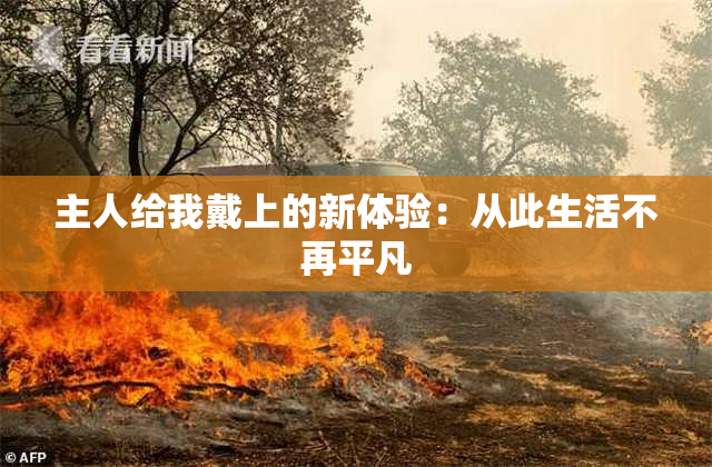 主人给我戴上的新体验：从此生活不再平凡