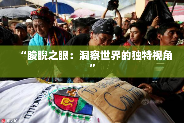 “睃睨之眼：洞察世界的独特视角”