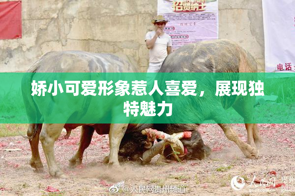 娇小可爱形象惹人喜爱，展现独特魅力