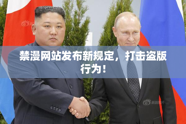 禁漫网站发布新规定，打击盗版行为！