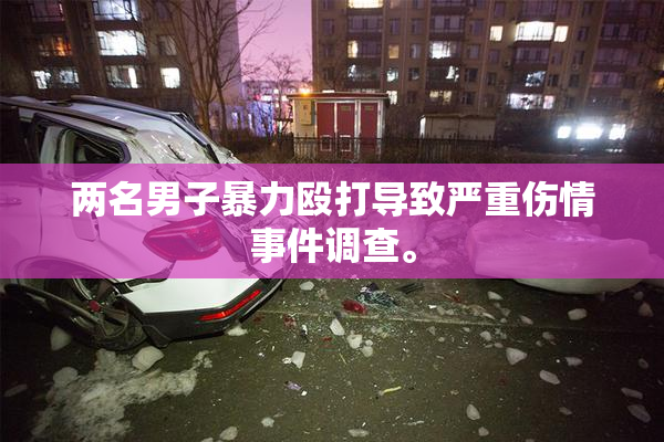 两名男子暴力殴打导致严重伤情事件调查。