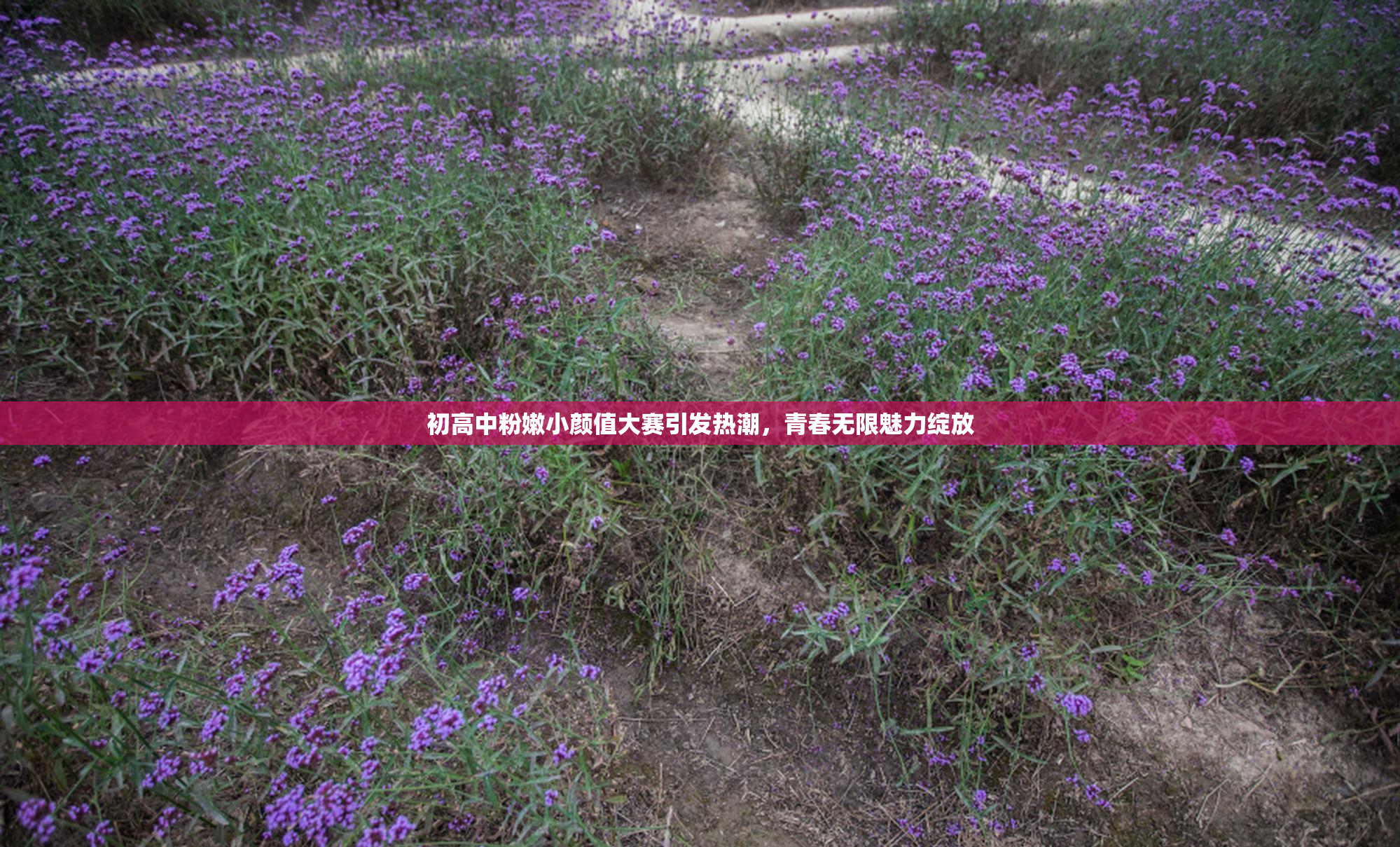 初高中粉嫩小颜值大赛引发热潮，青春无限魅力绽放