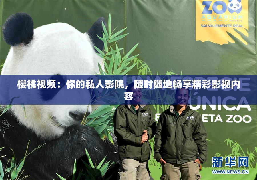 樱桃视频：你的私人影院，随时随地畅享精彩影视内容