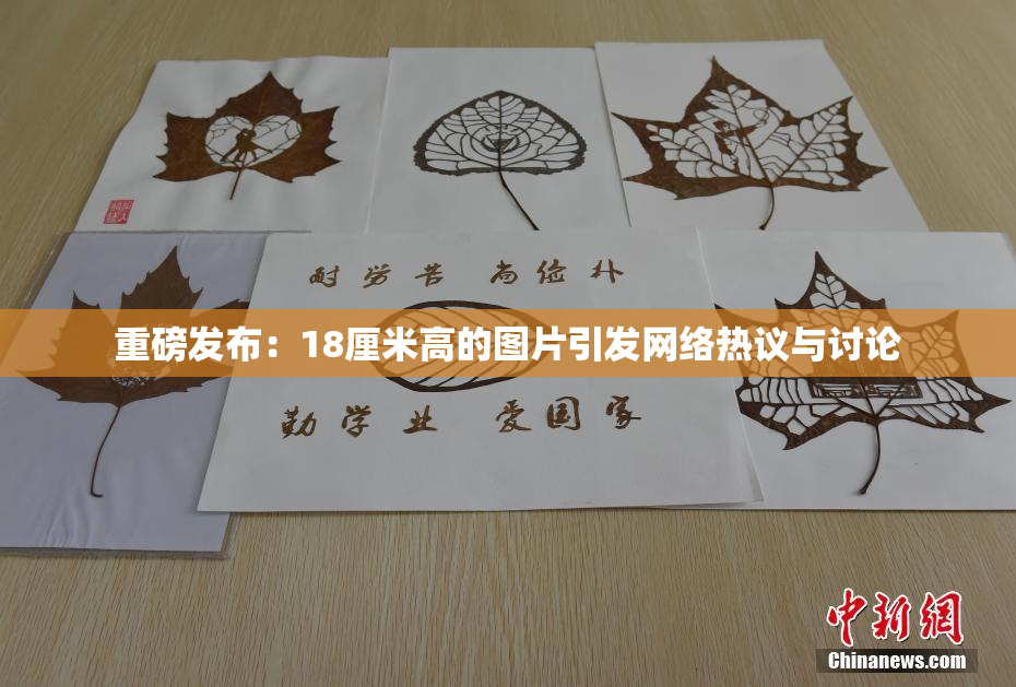 重磅发布：18厘米高的图片引发网络热议与讨论