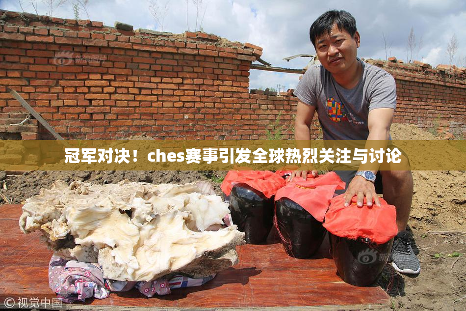 冠军对决！ches赛事引发全球热烈关注与讨论