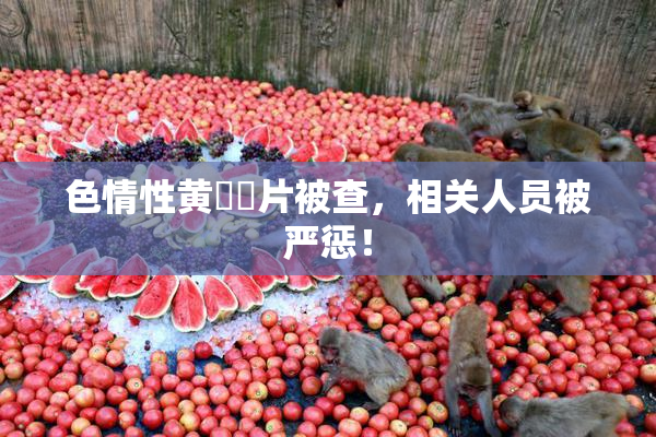 色情性黄❌‌片被查，相关人员被严惩！
