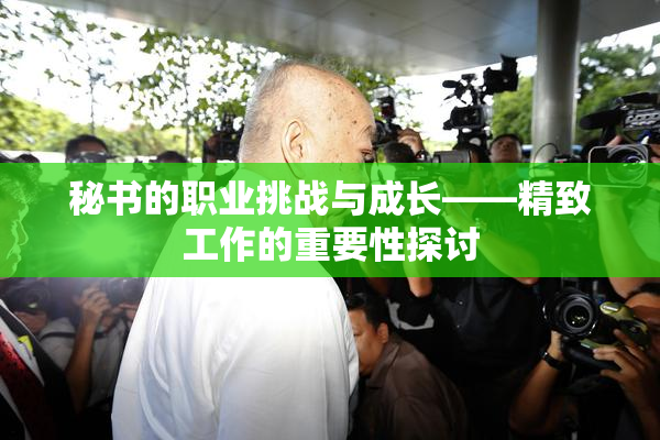 秘书的职业挑战与成长——精致工作的重要性探讨