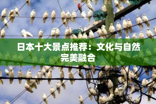 日本十大景点推荐：文化与自然完美融合