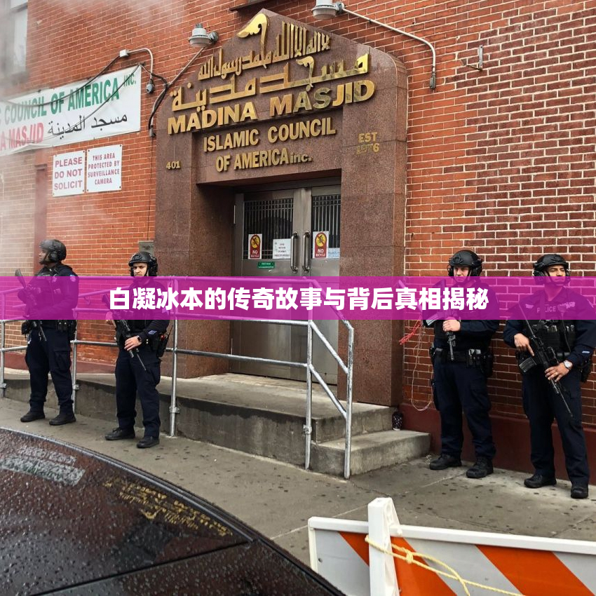 白凝冰本的传奇故事与背后真相揭秘