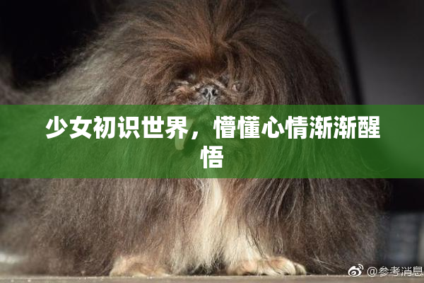 少女初识世界，懵懂心情渐渐醒悟